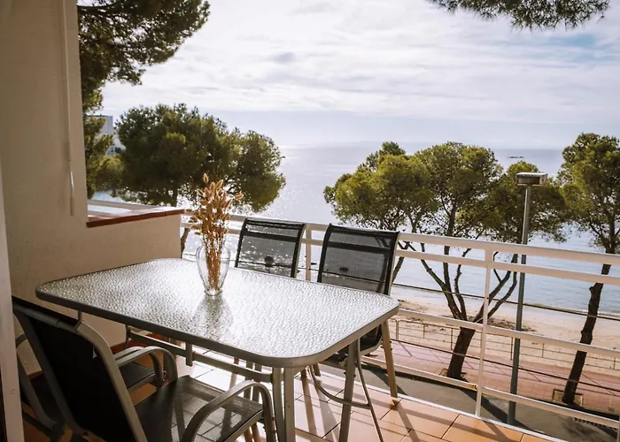 Agi Marina * Roses