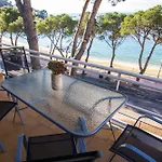 Agi Marina * Roses